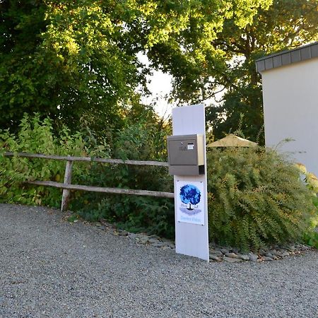 Lierneux Bleus Nuit Bed & Breakfast エクステリア 写真