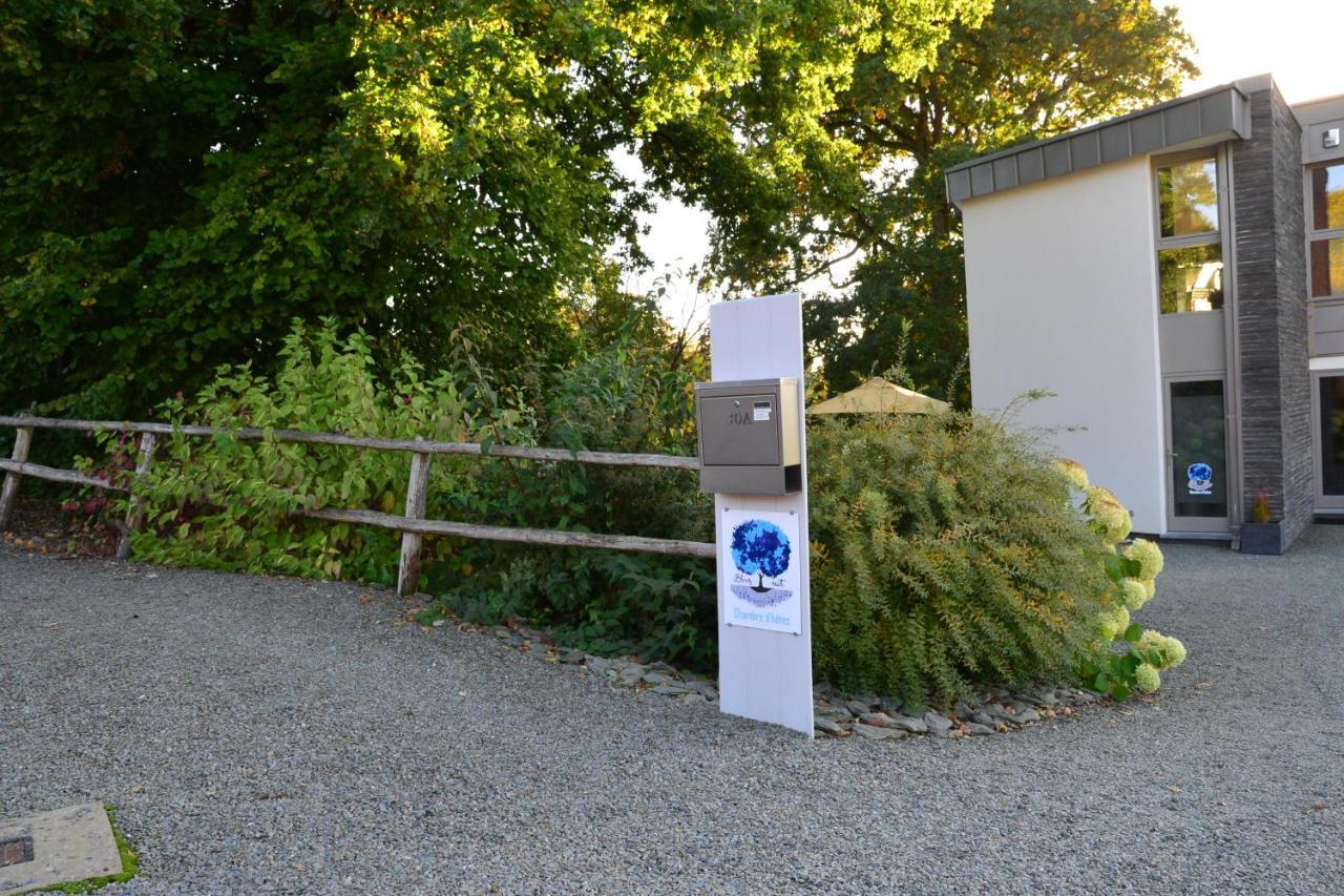 Lierneux Bleus Nuit Bed & Breakfast エクステリア 写真