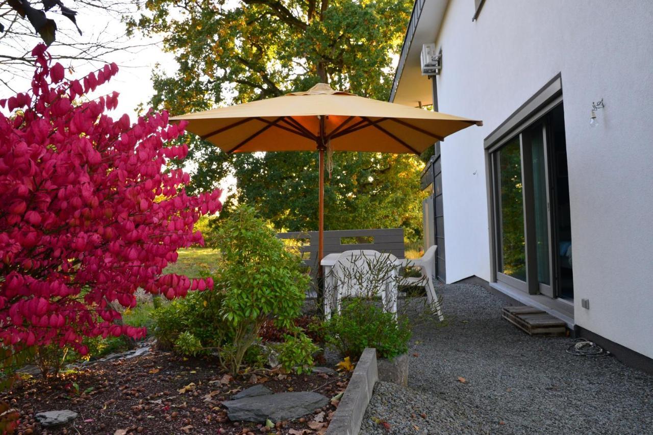 Lierneux Bleus Nuit Bed & Breakfast エクステリア 写真